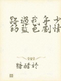 路过我年少时光的蓝色剧情介绍