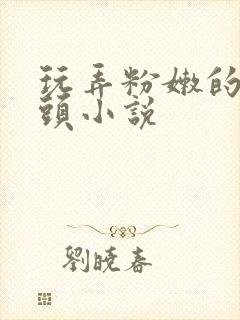 玩弄粉嫩的小奶头小说