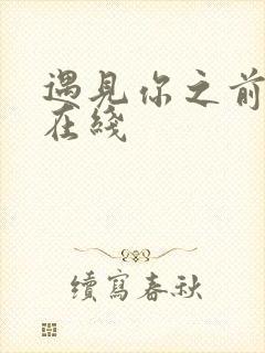 遇见你之前高清在线封面
