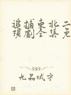 追捕东北二王电视剧全集免费观看