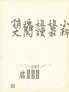 销魂姐姐小说全文阅读最新章节列表