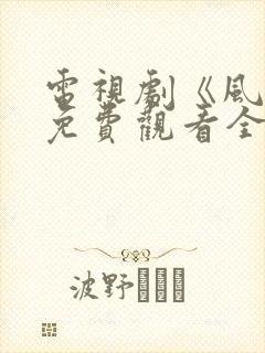 电视剧《风筝》免费观看全集高清