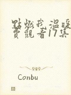 点燃我温暖你免费观看17集