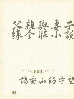 父亲与妻子的姻缘全版小说