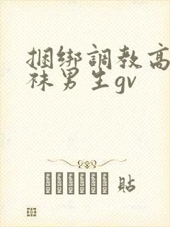 捆绑调教高中白袜男生gv