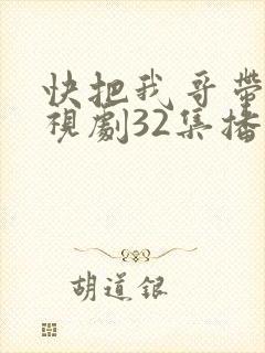 快把我哥带走电视剧32集播放封面