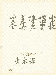 完美伴侣电视剧全集免费收看封面