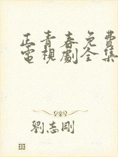 正青春免费观看电视剧全集