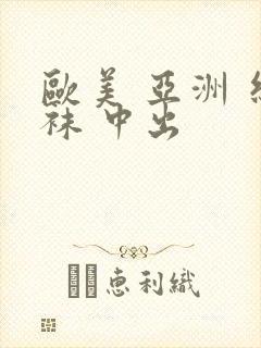 欧美 亚洲 丝袜 中出