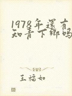 1978年还有知青下乡吗封面