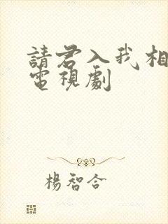 请君入我相思局电视剧