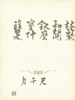 薛宝钗和林黛玉是什么关系封面