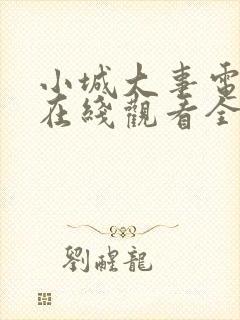 小城大事电视剧在线观看全集16集