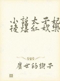 小说太子妃重生后爆红娱乐圈免费看全文