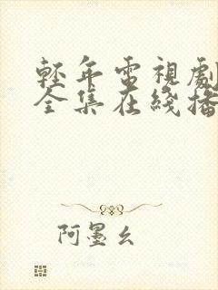 轻年电视剧免费全集在线播放封面