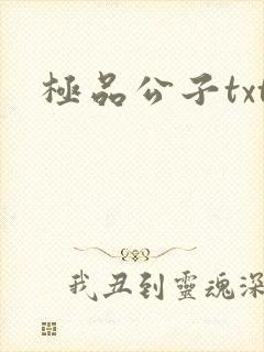 极品公子txt