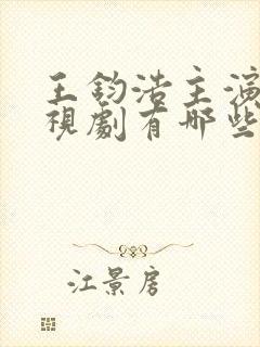 王钧浩主演的电视剧有哪些