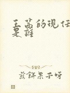 王茜的现任丈夫是谁