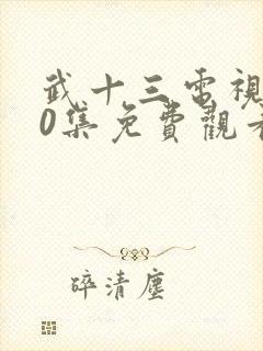 武十三电视剧40集免费观看