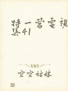 特一营电视剧全集41封面
