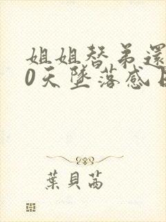 姐姐替弟还债10天坠落感日剧电影