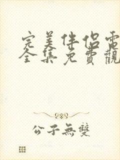 完美伴侣电视剧全集免费观看下载