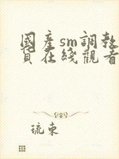 国产sm调教骚货在线观看啊啊啊