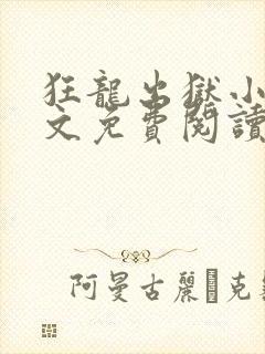 狂龙出狱小说全文免费阅读正版