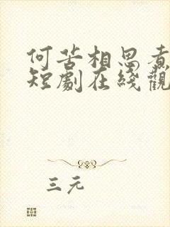 何苦相思煮余年短剧在线观看全集