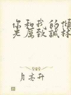 你和我的倾城时光厉致诚林浅