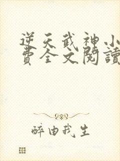 逆天武神小说免费全文阅读封面