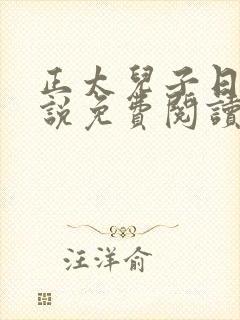正太儿子日常小说免费阅读全文最新封面