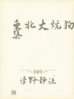 东北大炕狗儿全集封面
