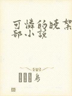 可怜的晓絮第二部小说封面