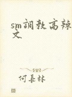 sm调教高辣h文