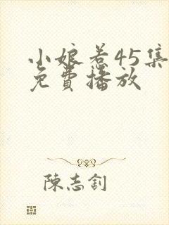 小娘惹45集全免费播放