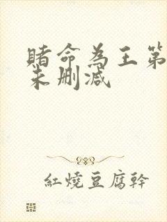 赌命为王第二季未删减