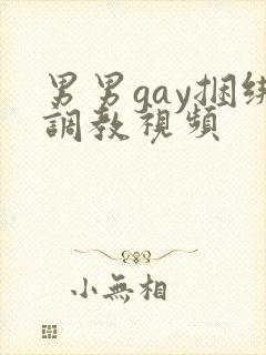 男男gay捆绑调教视频封面