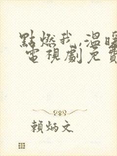 点燃我,温暖你 电视剧免费观看封面