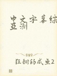中文字幕综合袜亚洲