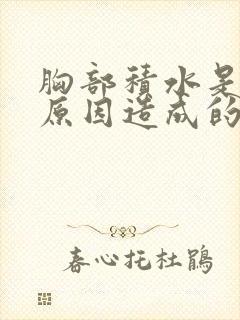胸部积水是什么原因造成的怎么治疗