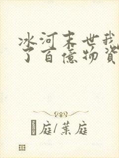 冰河末世我囤积了百亿物资更新