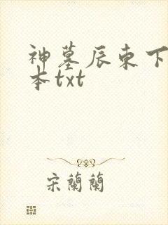 神墓辰东下载全本txt