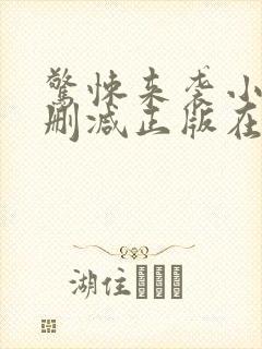 惊悚来袭小说无删减正版在线阅读