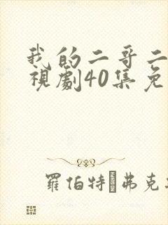 我的二哥二嫂电视剧40集免费观看