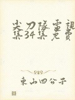 尖刀队电视剧全集34集免费观看