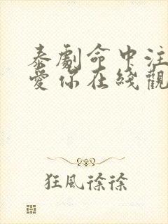 泰剧命中注定不爱你在线观看命中不注定