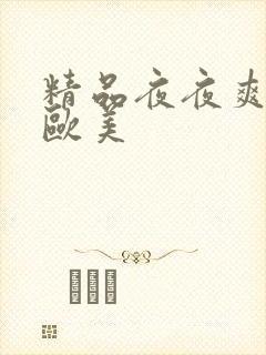 精品夜夜爽国产欧美