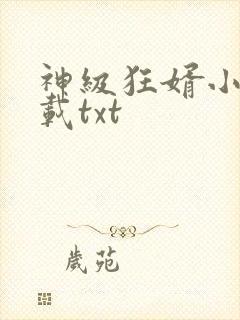 神级狂婿小说下载txt