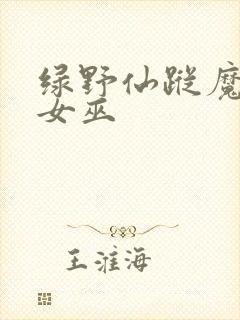 绿野仙踪魔法坏女巫封面